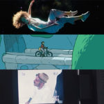 videoscabra