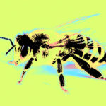 abeja