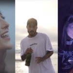 videosarmadillo