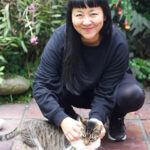 Nobara: Shoegaze para niños nobara