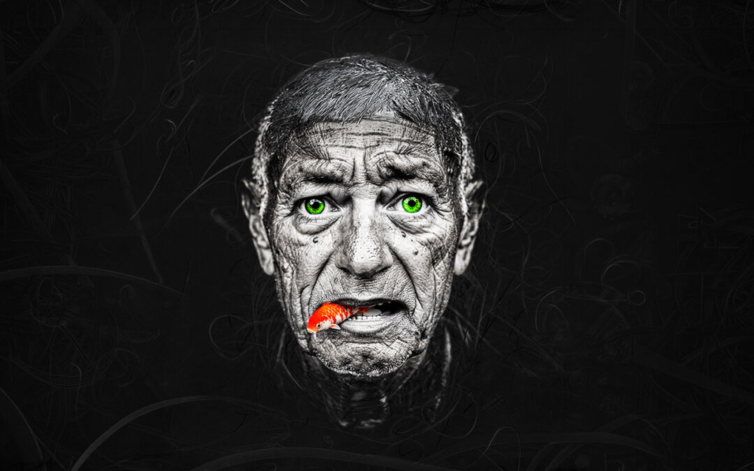 Tonadas Actuales: Música para gente extraña (y convencida)