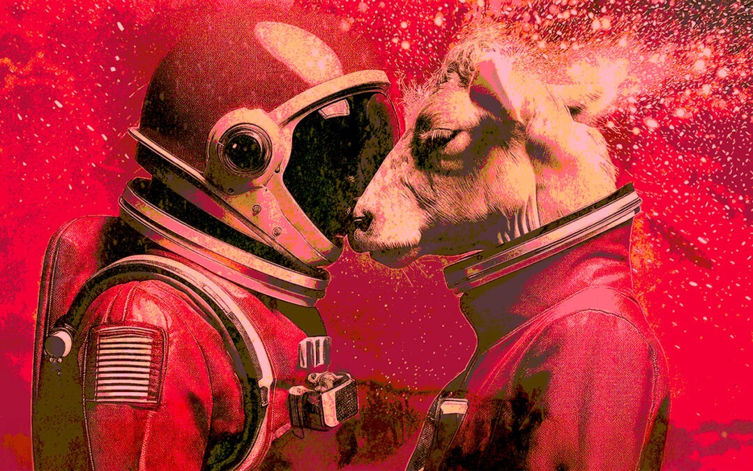 Sonidos Novedosos #playlist:  paz a los seres de buena voluntad.