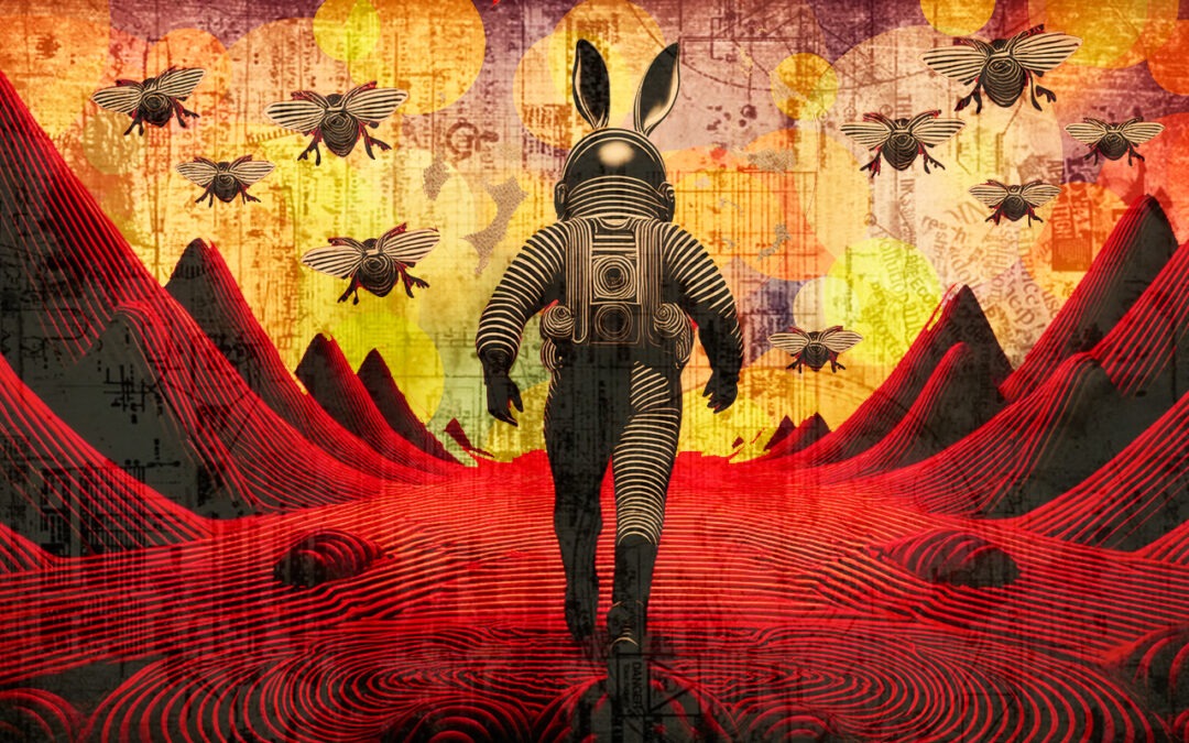 Sonidos Novedosos #playlist:  conejos con energía eléctrica.